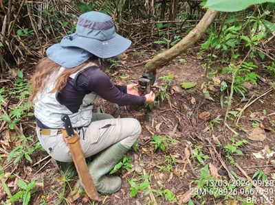 Programa de controle de fauna