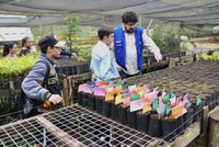 Atividades de educação ambiental destacam a preservação da flora nas obras da BR-285/RS/SC