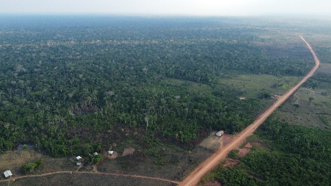 Imagem aérea do Módulo 2, ilustrando as fitofisionomias encontradas na área.jpg