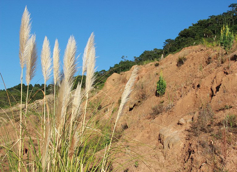 BR-101 Sul conheça o programa de Recuperação de Passivos Ambientais - arquivo ESGA DNIT (2).JPG