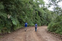 BR-285/RS/SC passa por monitoramento de animais atropelados