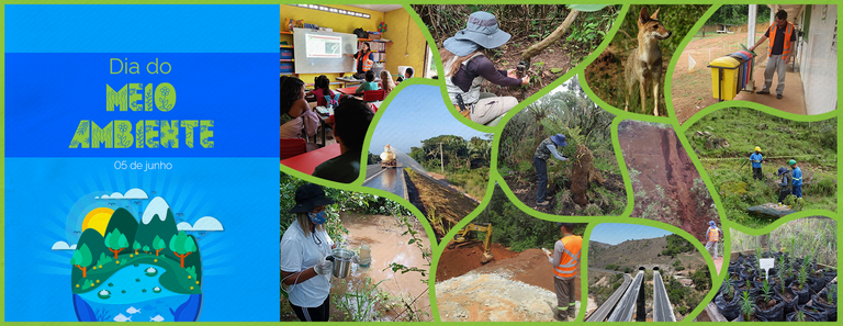 Capa_Site meio ambiente.png