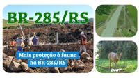 DNIT avança nas obras da BR-285/RS com implantação de medidas de proteção à fauna​