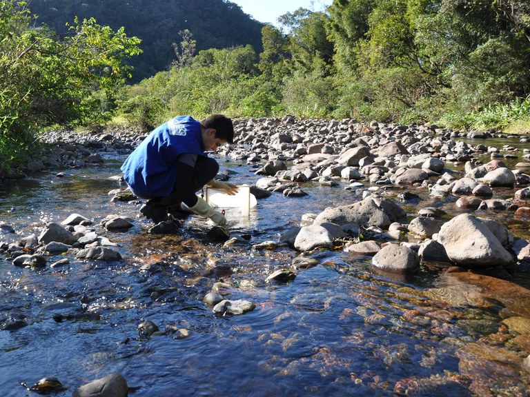 Coleta de macroinvertebrados - Amanda Montagna STE S.A .JPG