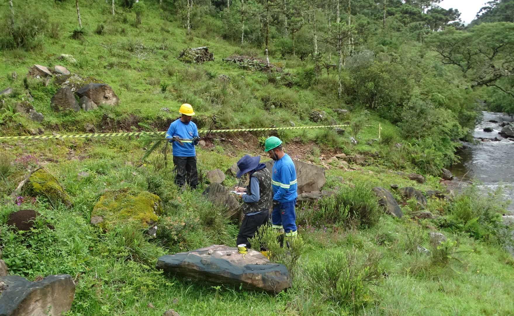 Resgate de espécies ameaçadas.jpg