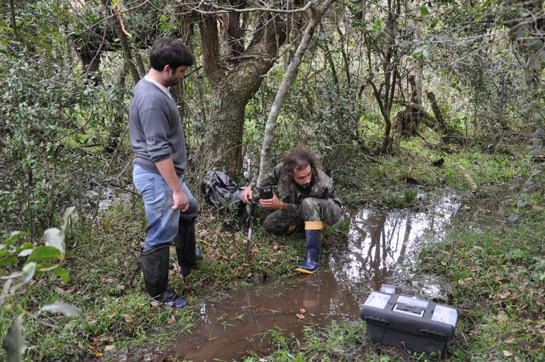DNIT encerra campanha de monitoramento de fauna da rodovia BR-392/RS