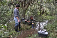DNIT encerra campanha de monitoramento de fauna da rodovia BR-392/RS