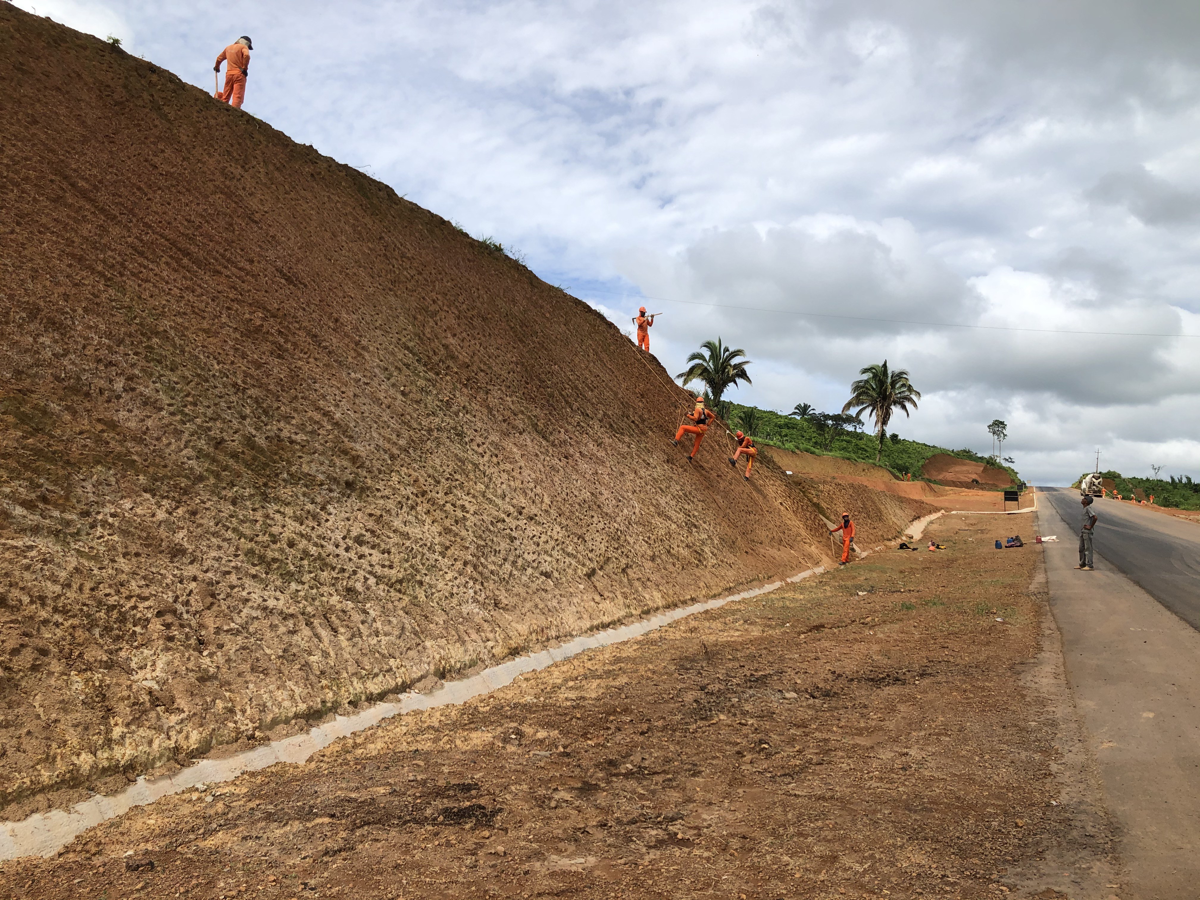 Equipes do DNIT executam o revestimento vegetal de talude
