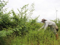 DNIT  faz  campanha de afugentamento animal na BR-101 Sul/SC