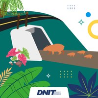 DNIT implanta estruturas para travessias de animais em todo o país