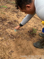 COMBATE A FORMIGAS.png