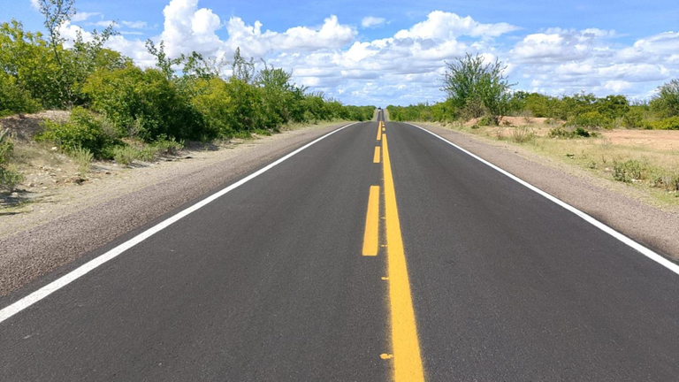 Template foto portal 1920x1080 (4).png