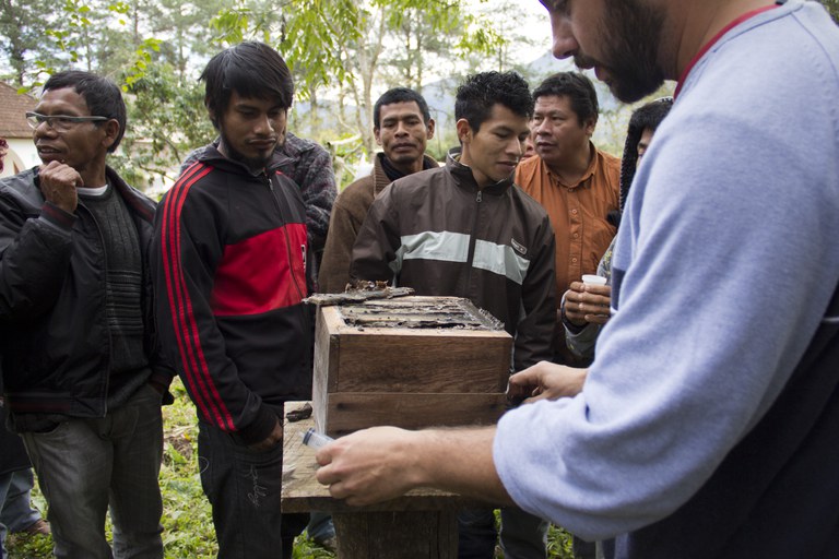 Indígenas participam de projeto com abelhas nativas