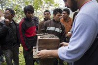 Indígenas participam de projeto com abelhas nativas