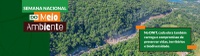No Dia Mundial do Meio Ambiente, DNIT ressalta avanços na gestão socioambiental