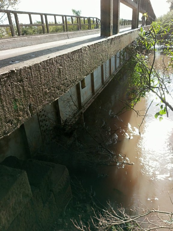 WhatsApp Image 2024-05-15 at 14.07.44.jpeg