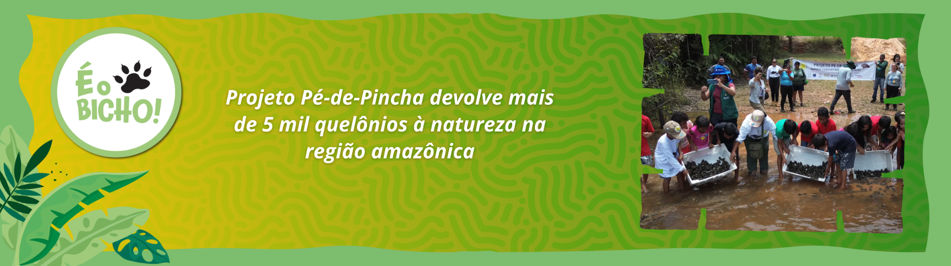 Iniciativa desenvolvida pela Universidade Federal do Amazonas promove conservação de espécies com apoio de comunidades e instituições parceiras