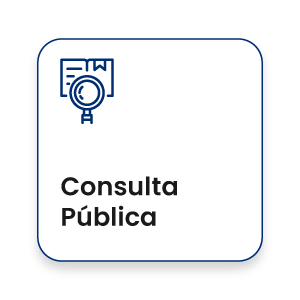 consulta-publica-2025.png