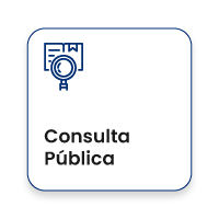 consulta-publica.png