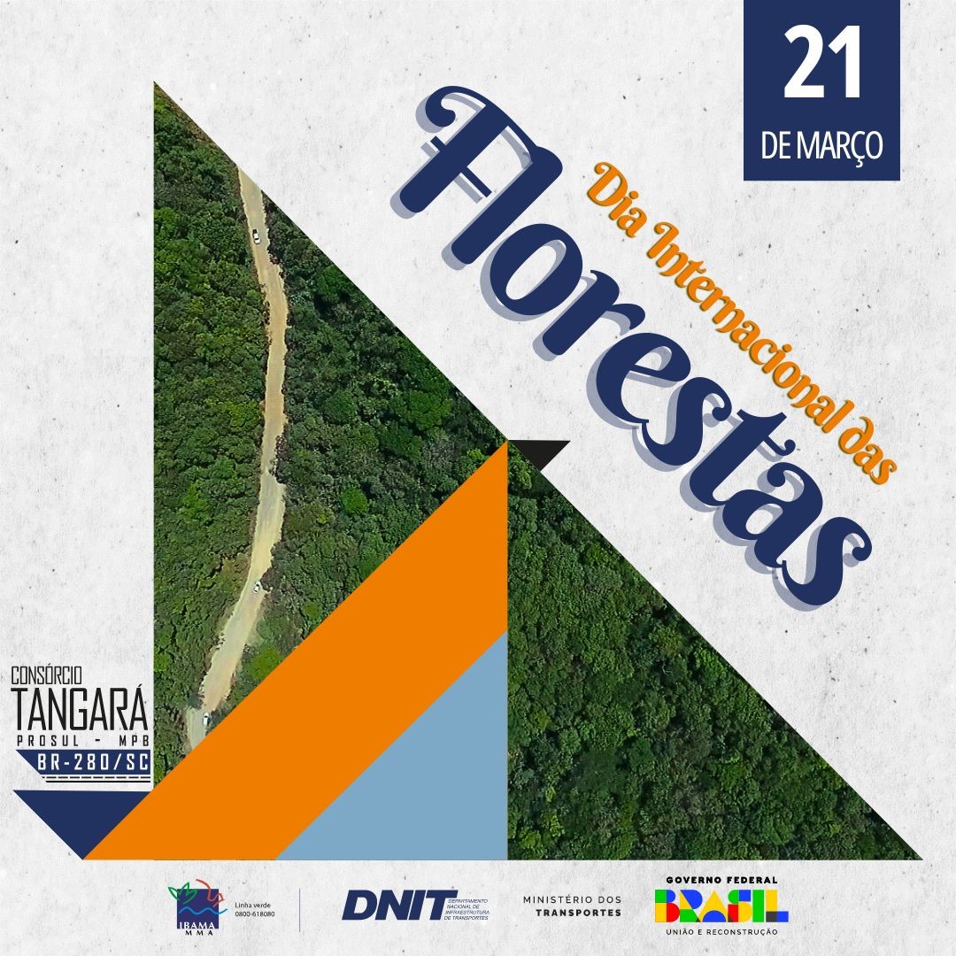 Dia Internacional das Florestas