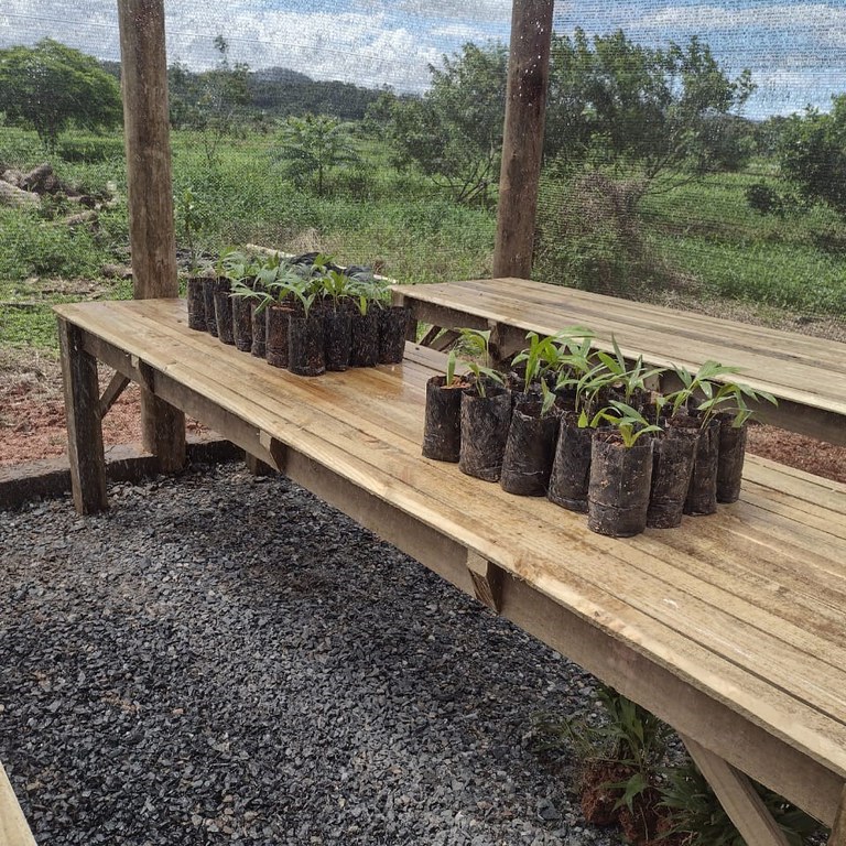 22.10.2021 - Primeiro Viveiro (Piraí).jpeg