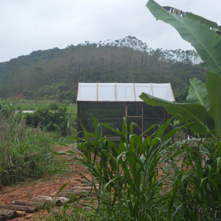 22.10.2021 - Primeiro Viveiro (Piraí).jpg