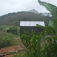 Aldeia indígena inaugura primeiro viveiro de mudas do CI-PBA