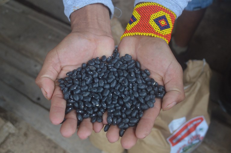 Release CI-PBA - site.JPG