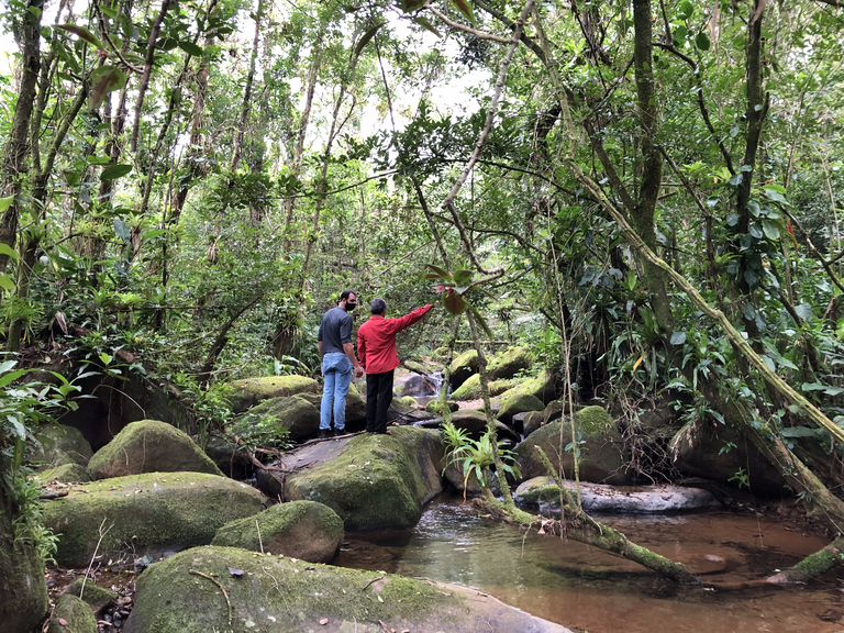 30.06.2021-Componente-Indígena-do-Plano-Básico-Ambiental-_CI-PBA_-da-Rodovia-BR-280_SC.png