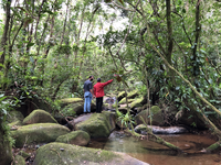 Componente Indígena do Plano Básico Ambiental (CI-PBA) da Rodovia BR-280/SC