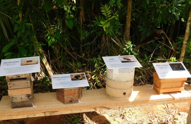 Parceria com o CECAS 2.jpg