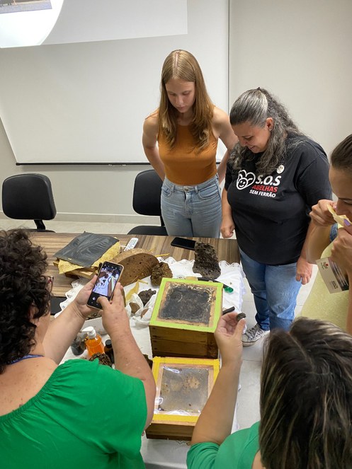 publicação02 (c).JPG