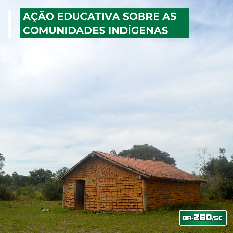 Ação educativa sobre as comunidades indígenas.png