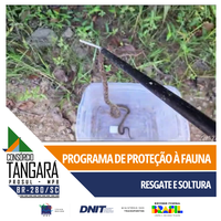 Proteção à Fauna