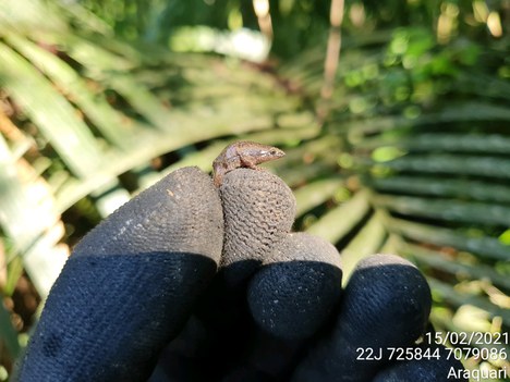 Km 26+500 - 15.02.2021.jpg