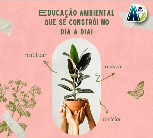 Educação ambiental que cuida da vida na BR-319