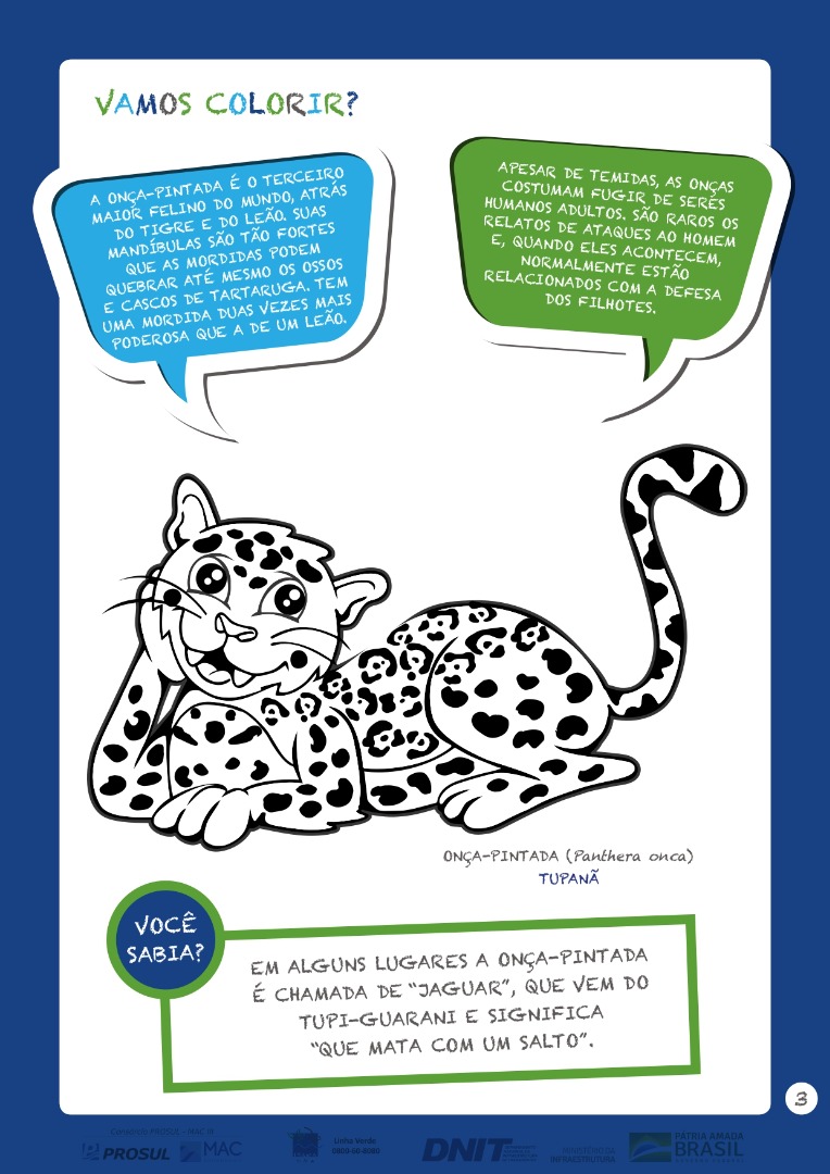 03. Atividade Pintura