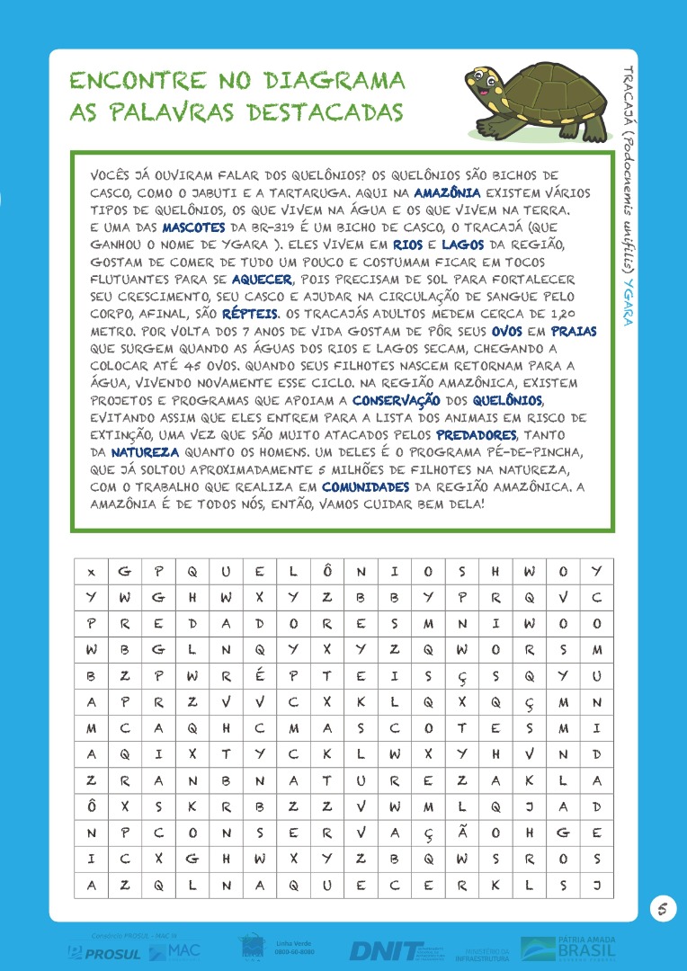 05. Atividade Diagrama de Palavras