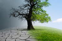 16 de março é o Dia Nacional de Conscientização sobre as Mudanças Climáticas