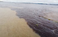 24 de novembro: Dia do Rio e o cuidado com as águas na faixa da BR-319