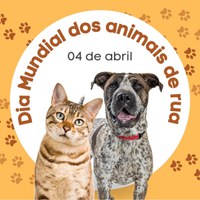 4 de Abril: Dia Mundial dos Animais de Rua