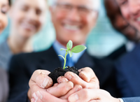 5 de junho: Dia Mundial do Meio Ambiente