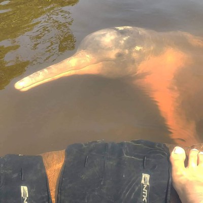 RDS - Igapó Aço - Km 261,00 (2).jpeg