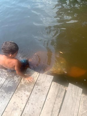 RDS - Igapó Aço - Km 261,00 (4).jpeg