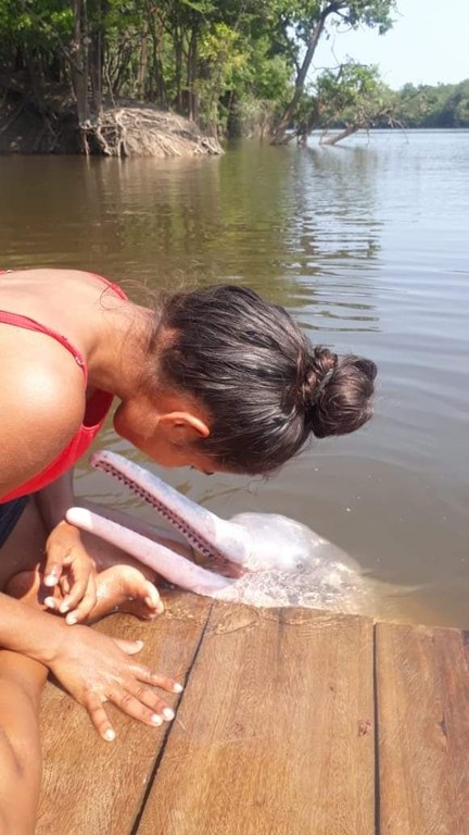 RDS - Igapó Aço - Km 261,00.jpeg