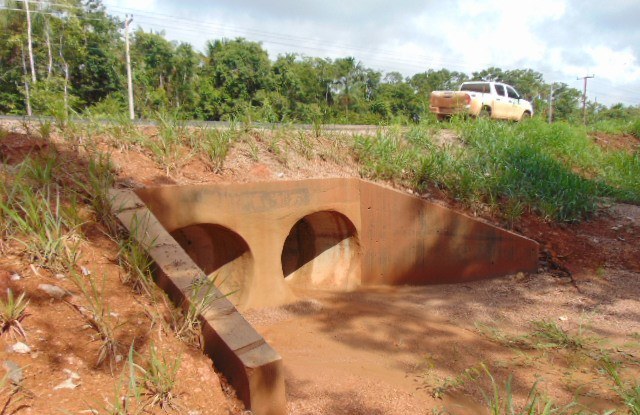 DURANTE - Ponto com gramíneas evoluindo no talude onde foi implantado bueiro.jpg