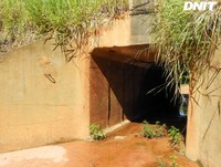 DNIT executa Programa de Prevenção de Colisão de Fauna Silvestre na BR-319