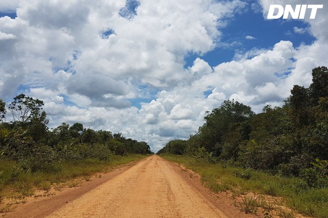 BR-319_TrechodoMeio_EricaSaito.jpg