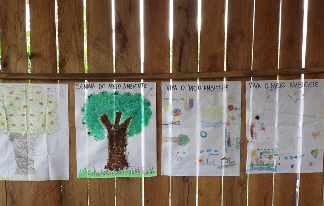 BR-319, KM 137 - Comunidade Céu Azul 6.JPG