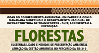 Em cartaz a exposição Florestas: Sustentabilidade e Medidas de Preservação Ambiental